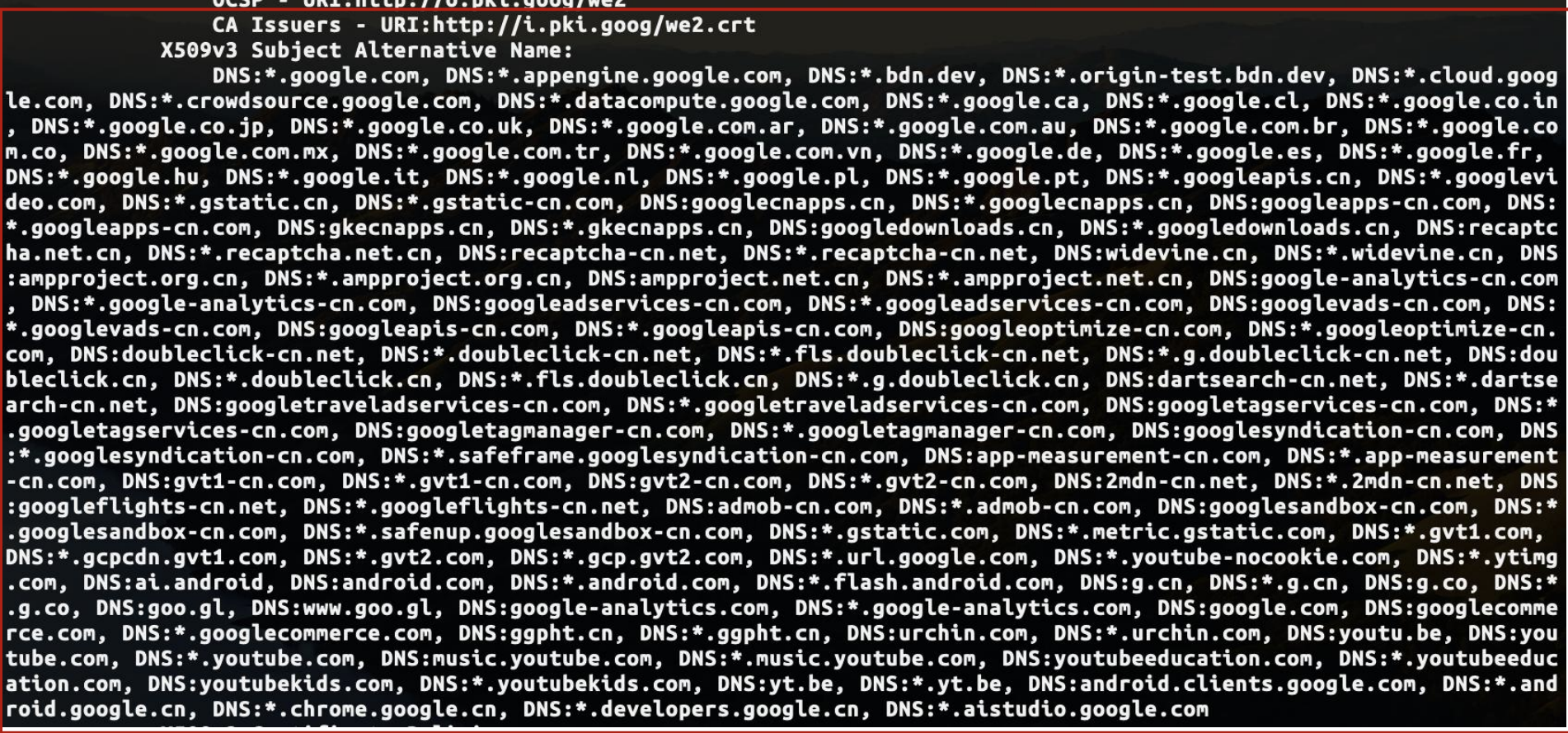 image-20251216225329616